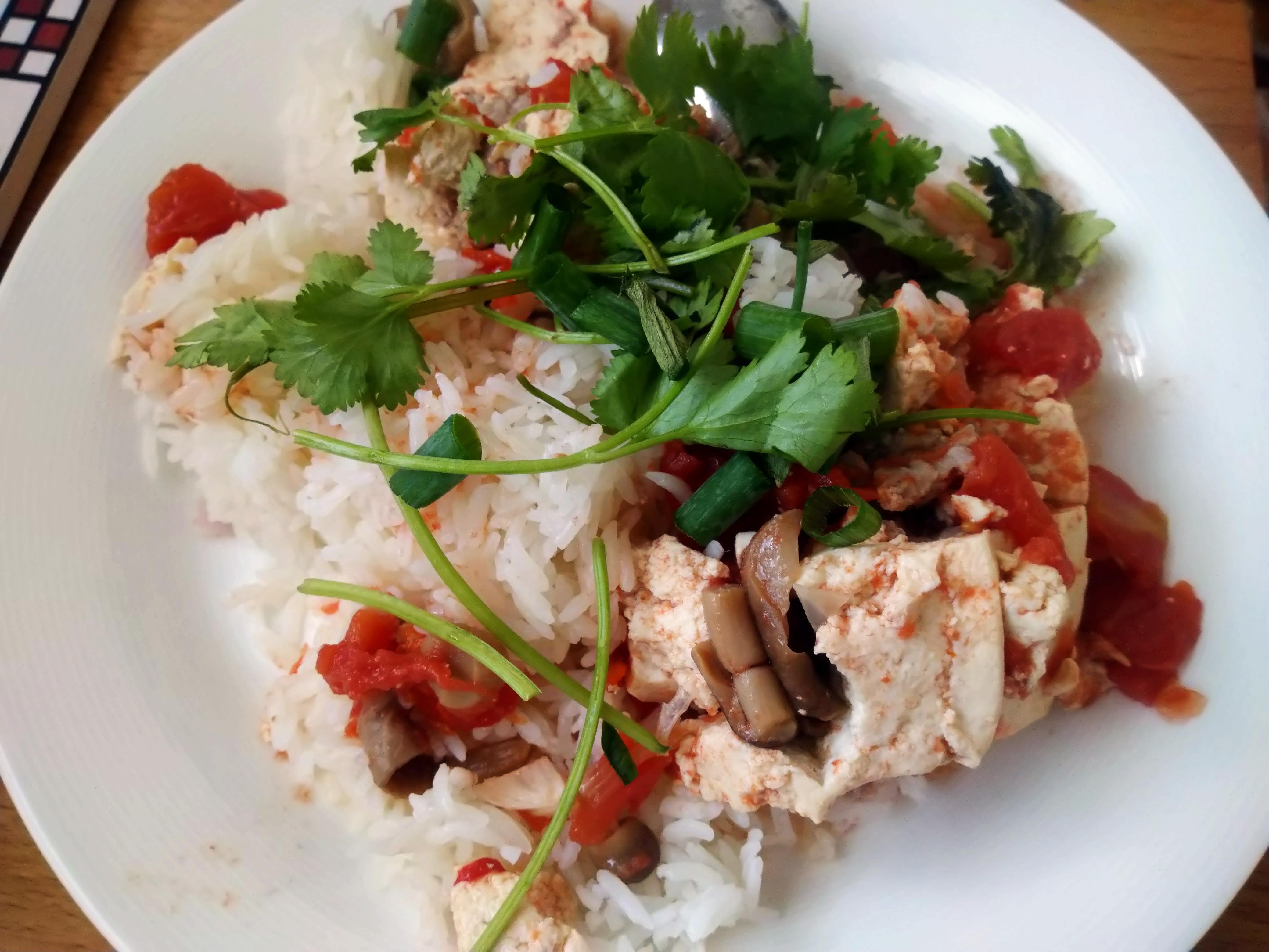 Tofu stuffed with pork, braised in tomato sauce, with straw mushrooms, jasmine rice, cilantro, and green onion